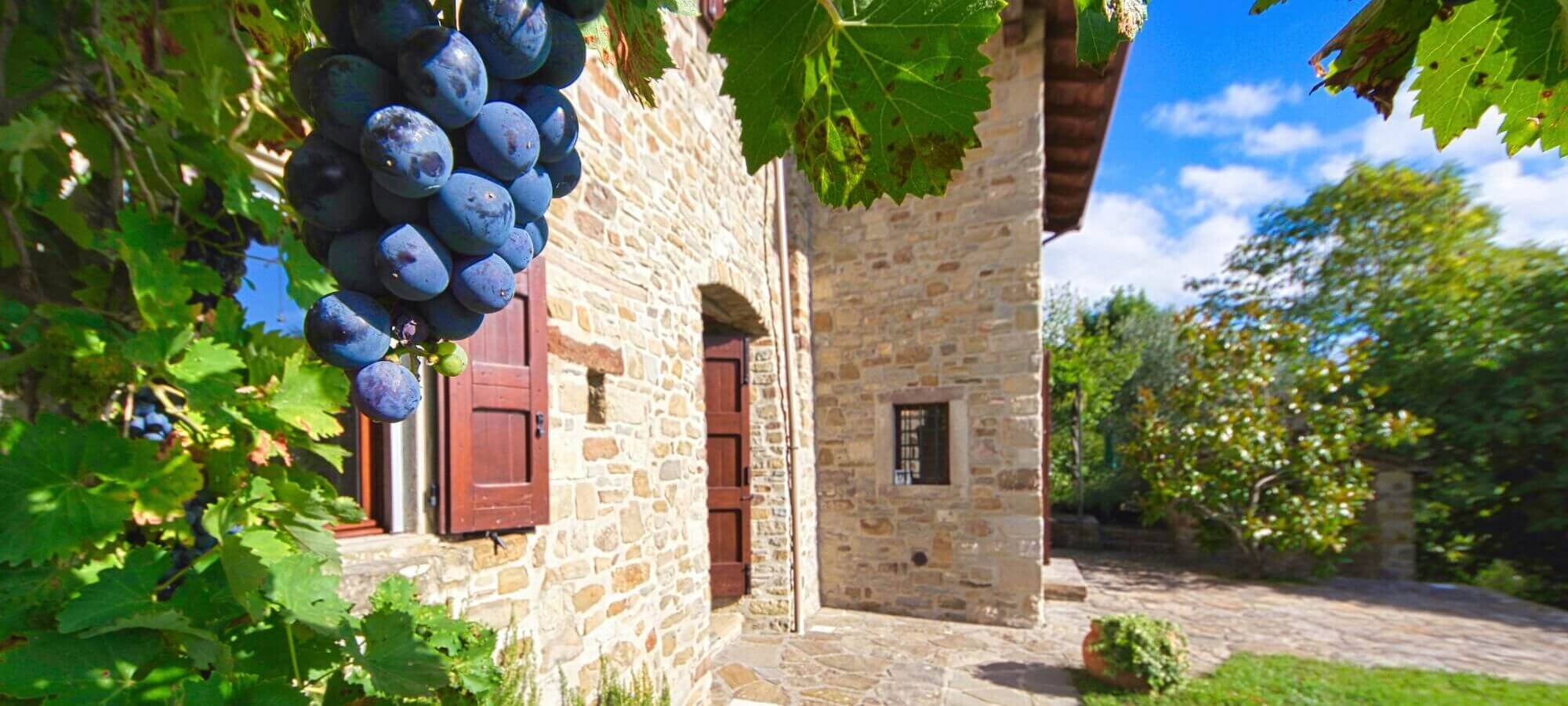 Essere in Montagna agenzia immobiliare