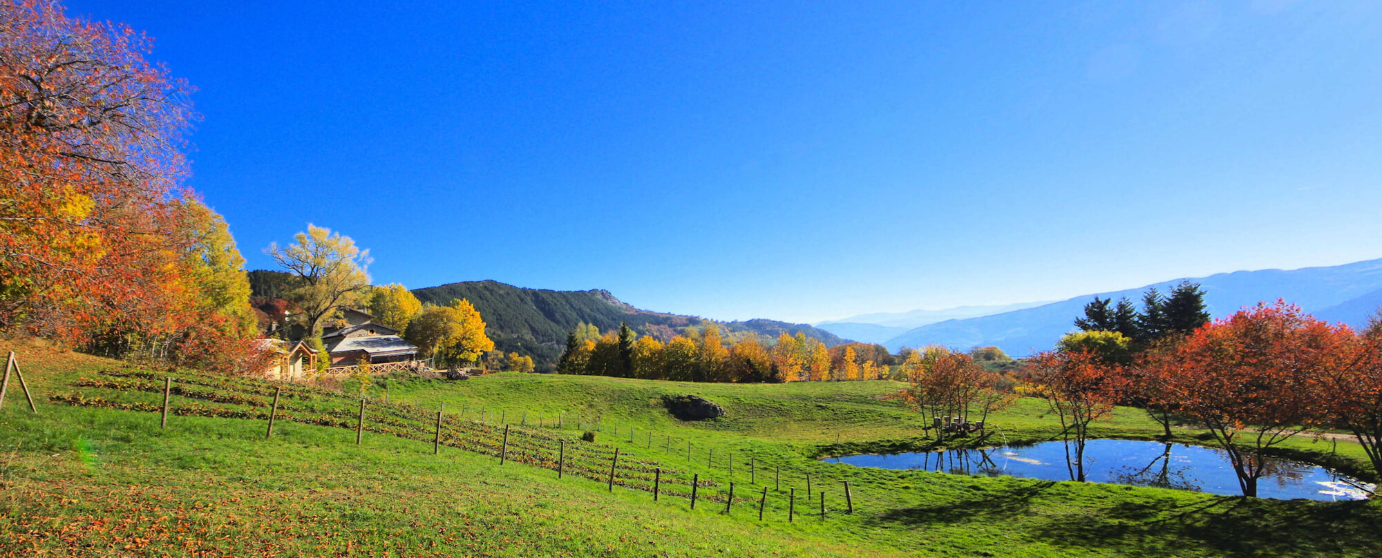Essere in Montagna agenzia immobiliare