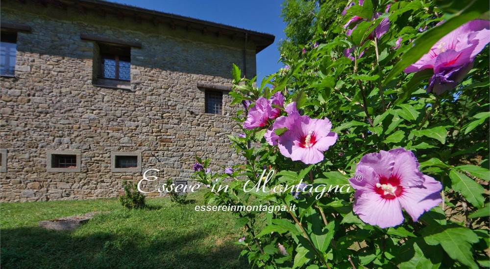 La casa fuori e il giardino