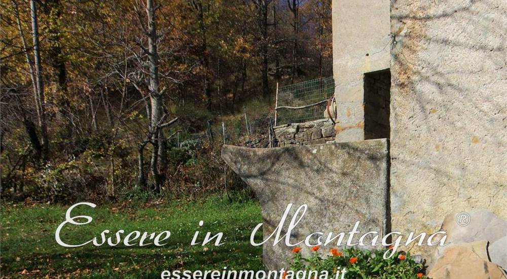 dettaglio