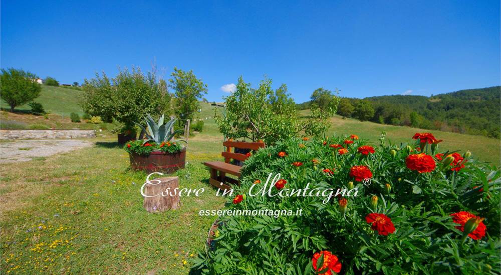 il giardino