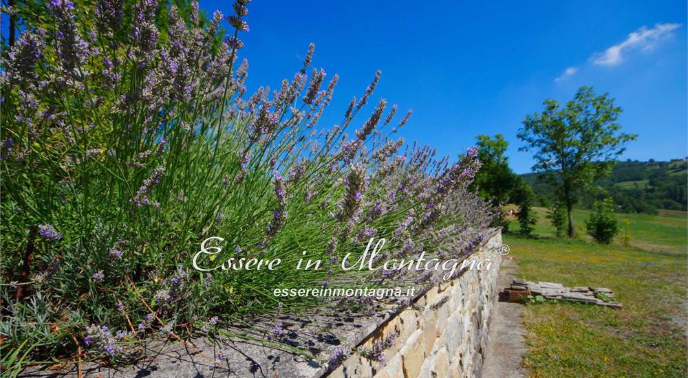 il giardino