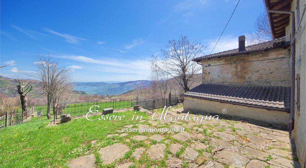 il giardino e la corte