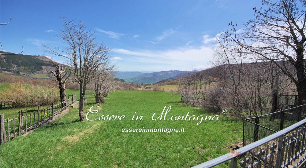 il giardino e la corte