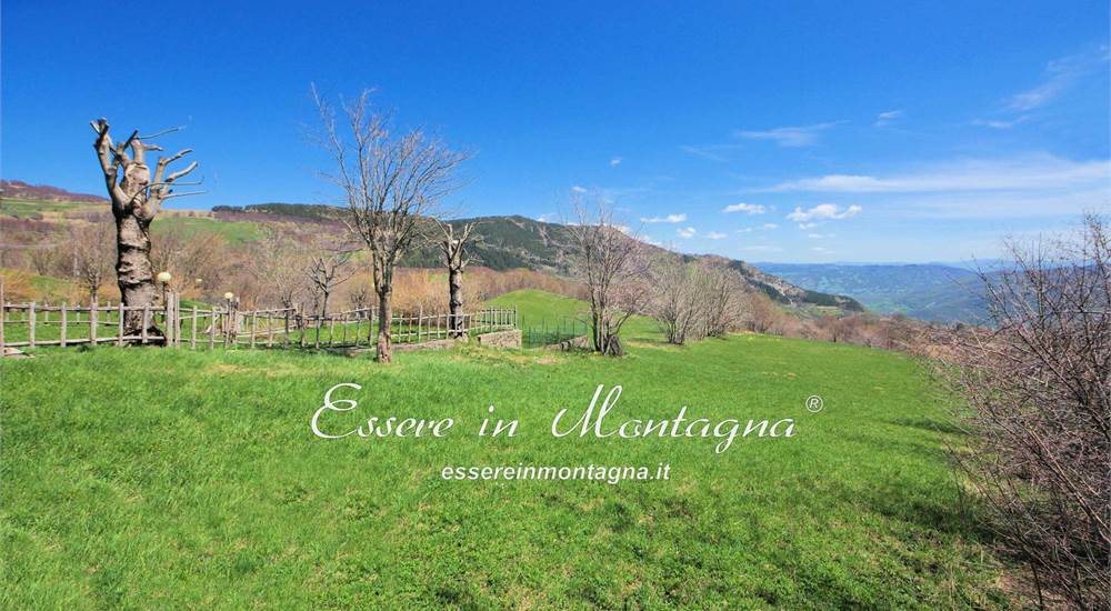 la vista e il giardino