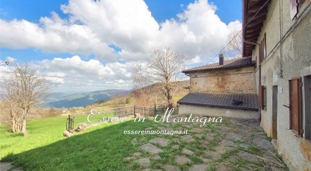 il giardino e la corte