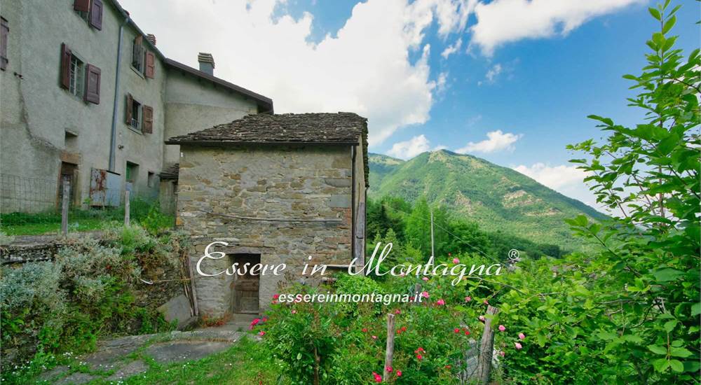 La stradina che porta alla cantina