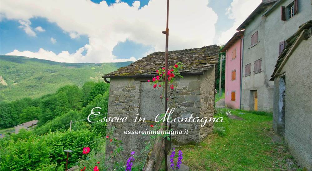 La stradina che porta alla cantina