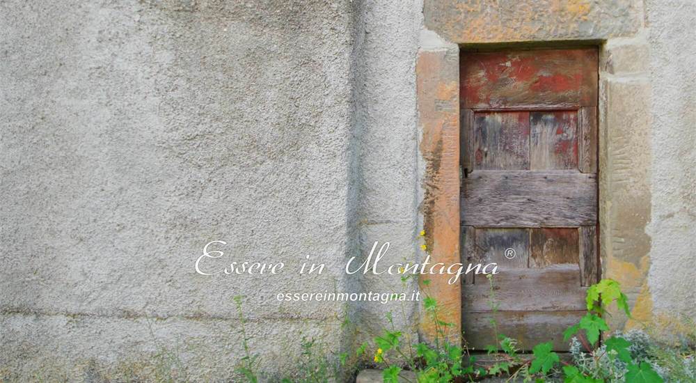 La porta di cantina