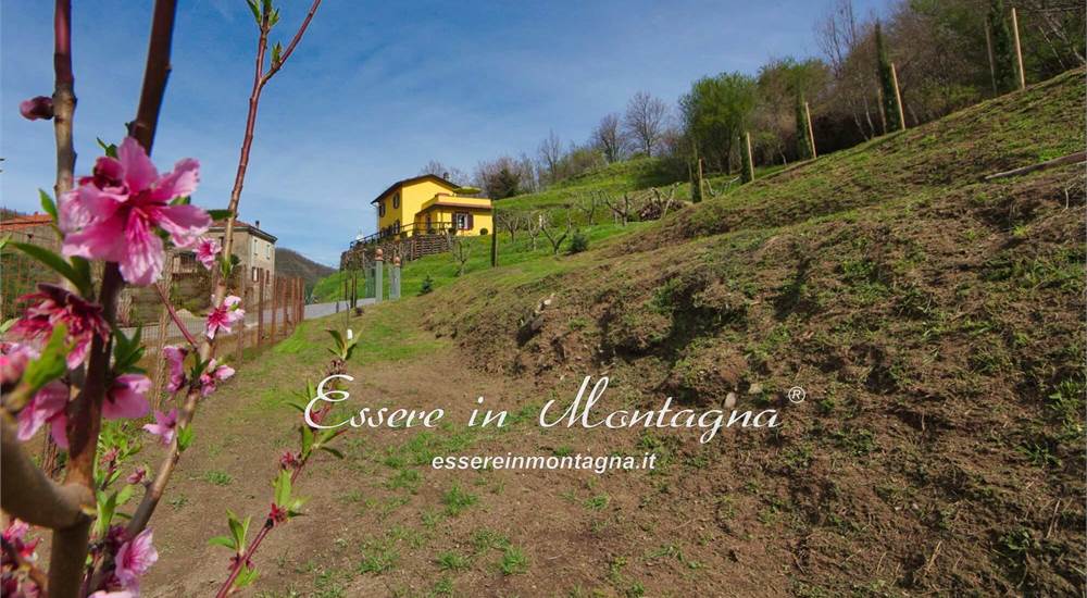 I gradoni del frutteto