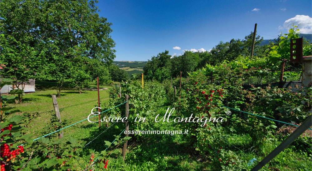 il giardino