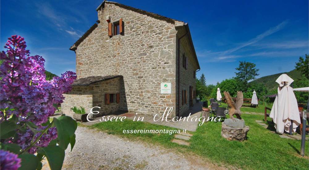 Il giardino esterno