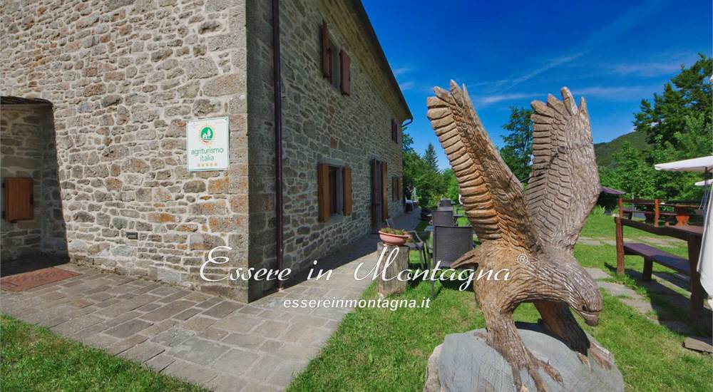 Il giardino esterno
