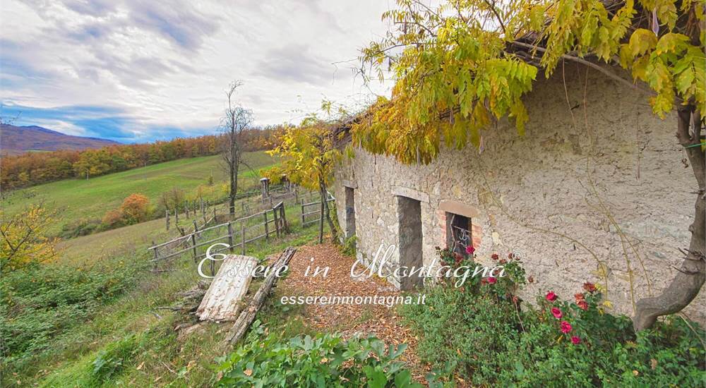 Il pollaio con forno