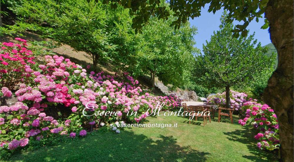 Il giardino