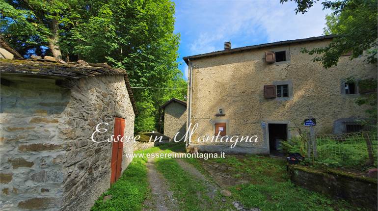 Podere montano