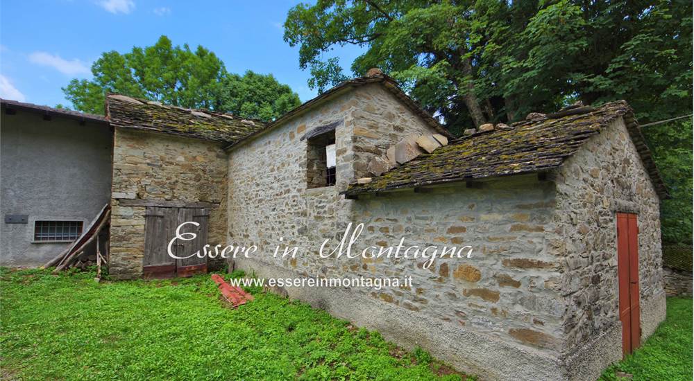 teggia